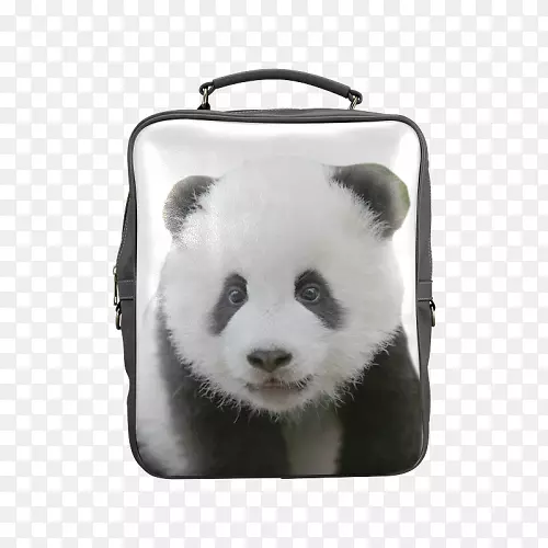 大熊猫小熊猫三星S8包背包