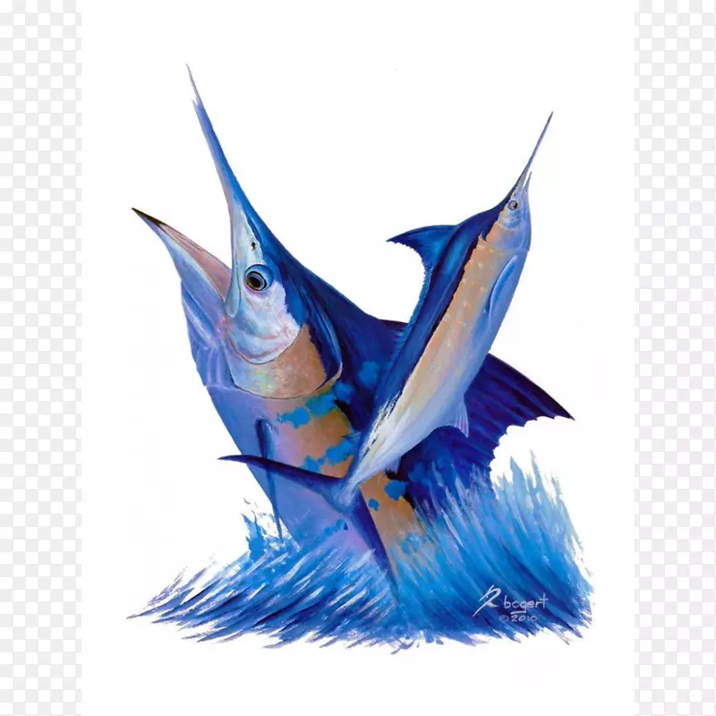 大西洋蓝马林羽绒被，马林鱼，旗鱼，卡波圣卢卡斯