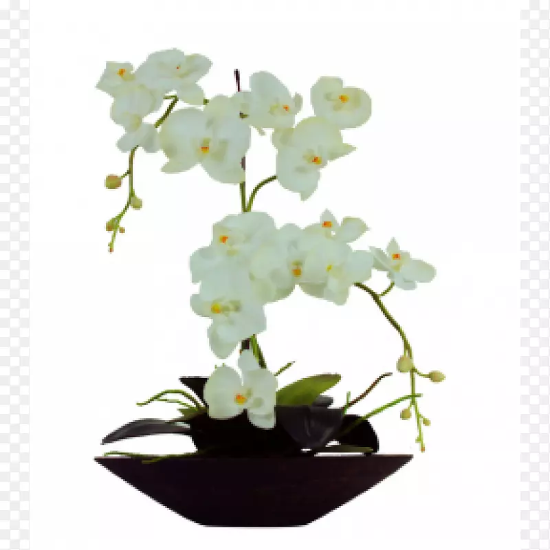 蛾兰白色花瓶玻璃花瓶