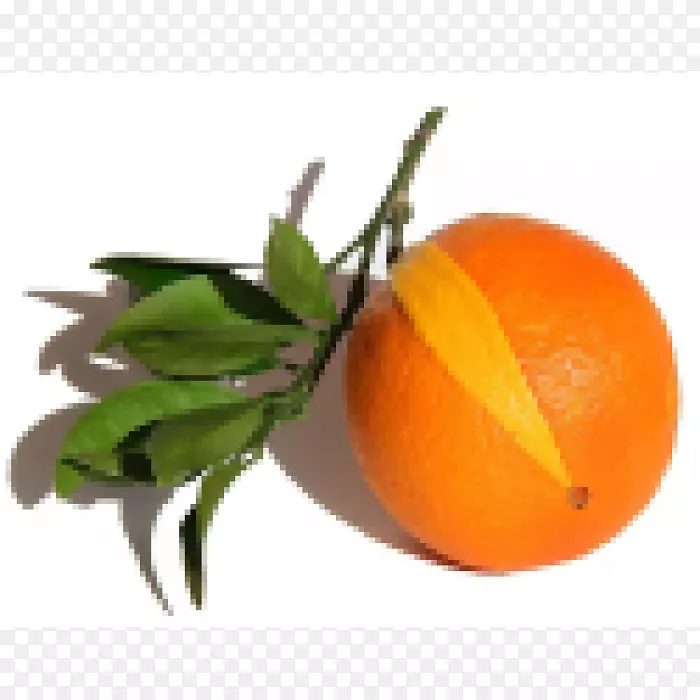 克莱门汀苦橙橘子橙子