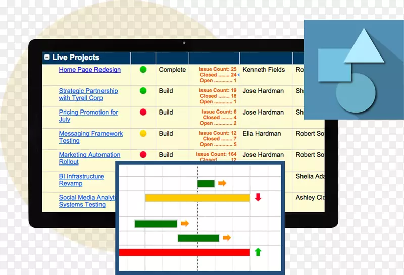 项目组合管理组织项目管理智能表