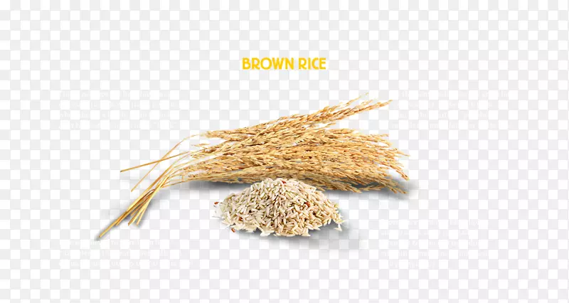 燕麦印度料理全麦谷类食品-大米