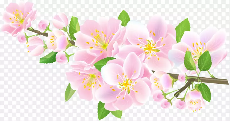 菊科樱花设计春季-春季排版粉红色春季字体