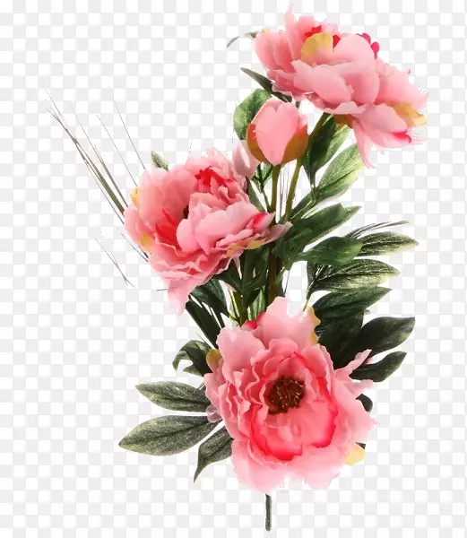 花园玫瑰花卉设计博客牡丹-花