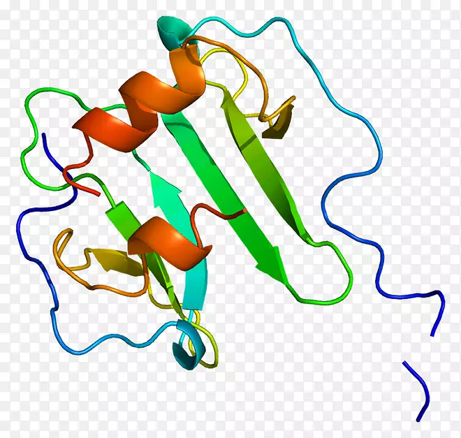 基质细胞衍生因子1 CXC趋化因子受体CXCR 4细胞因子