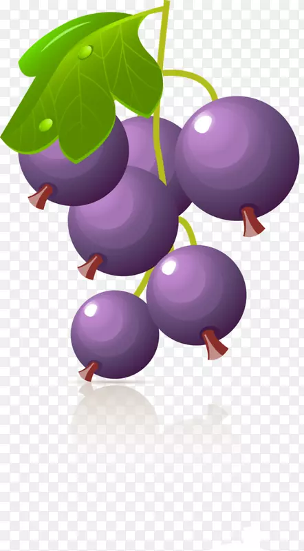葡萄浆果剪贴画-葡萄