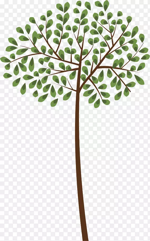 代顿蛀牙高级牙科
