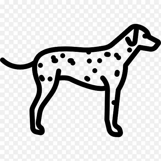 达尔马提亚犬，法国斗牛犬，伯恩塞山犬，杰克罗素猎犬，灰狗