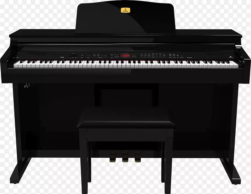 数字钢琴，电动钢琴，电子琴，钢琴，琵琶，钢琴