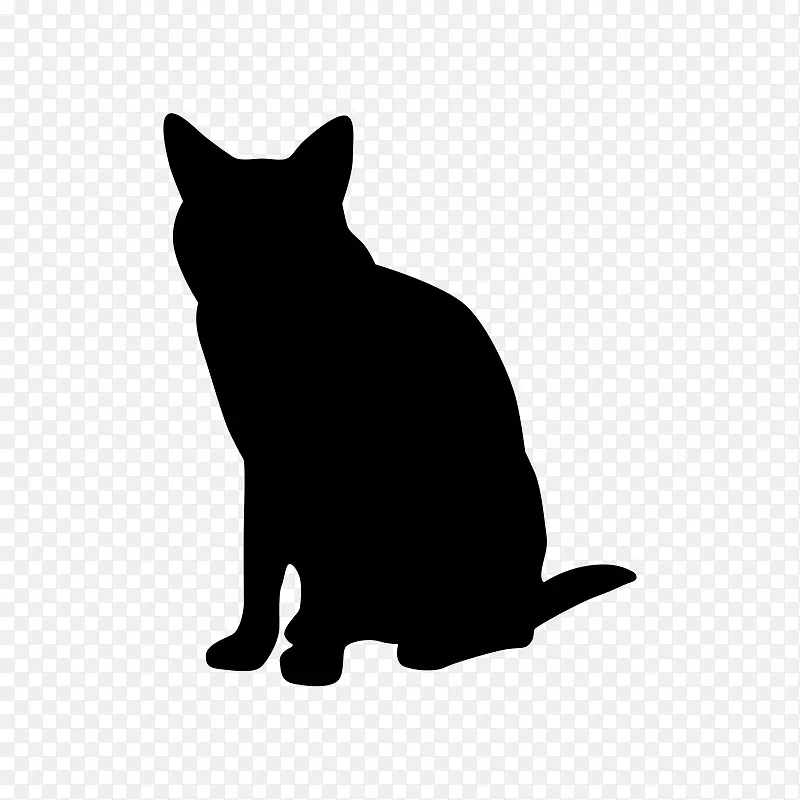 胡须黑猫下尿路疾病猫