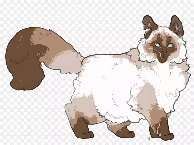 胡须狗猫夹艺术狗
