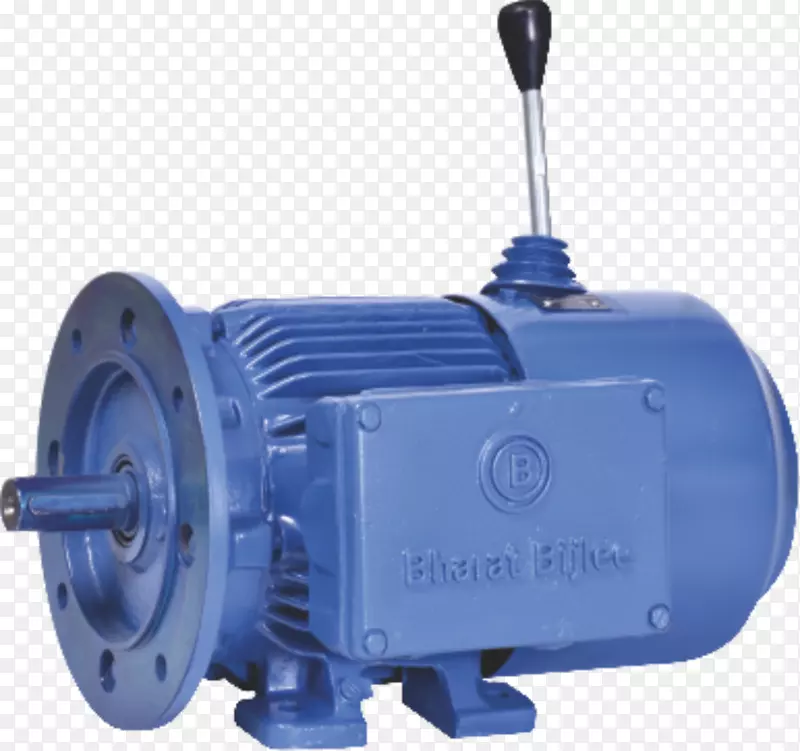 Bharat Bijlee有限公司电机绕转子电机滑环发动机