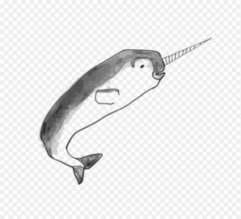 独角鲸齿鲸剪贴画-鲸鱼