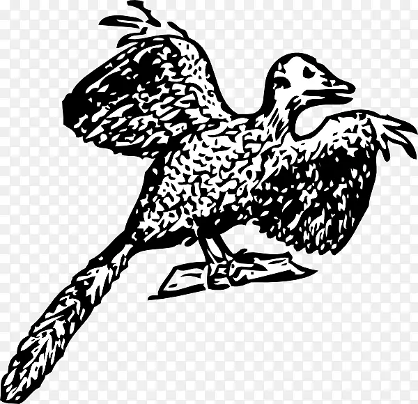 始祖鸟化石恐龙剪贴画-鸟