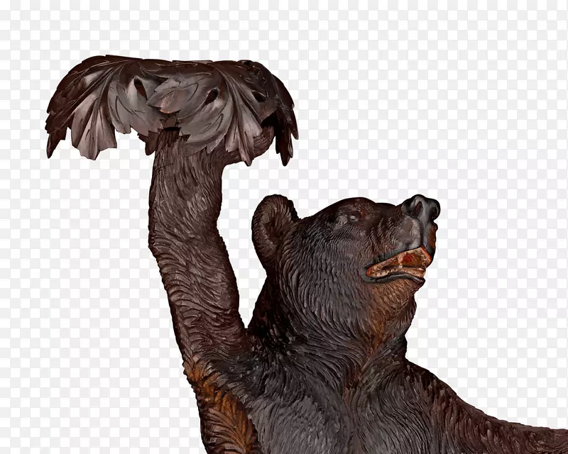 野生动物-棕熊