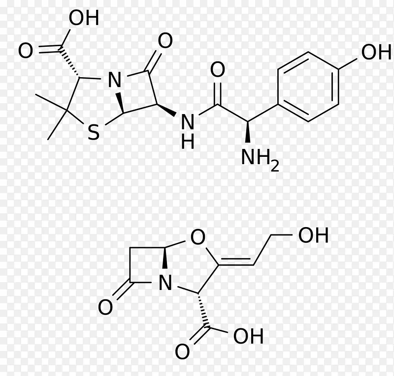 氨苄西林阿莫西林/克拉维酸乙状结肠-奥尔德里希-消除血液细菌
