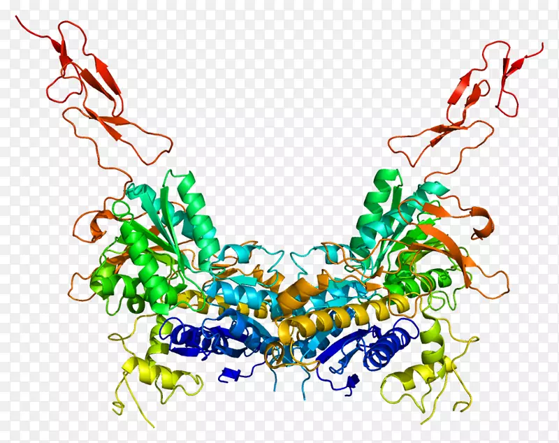代谢型谷氨酸受体3代谢受体-受体