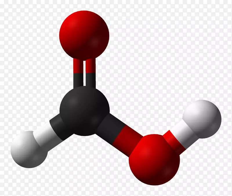 甲酸蚂蚁羧酸乙酸
