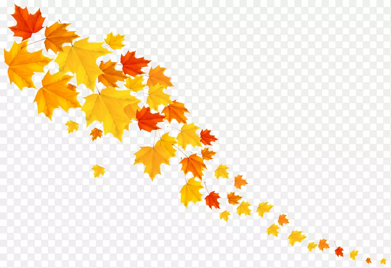 秋叶彩色剪贴画-秋天