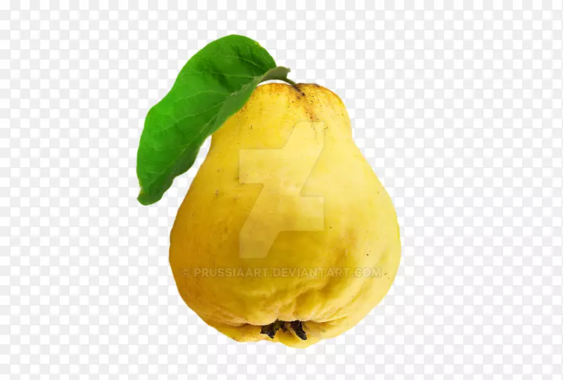 昆斯水果柠檬-超级市场水果会员卡