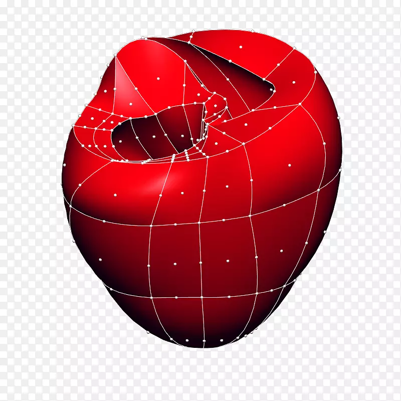 数学模型有限元法心脏几何-心的不规则成分