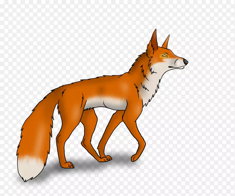 红狐狸，野狼，灰狼，红狼-狐狸