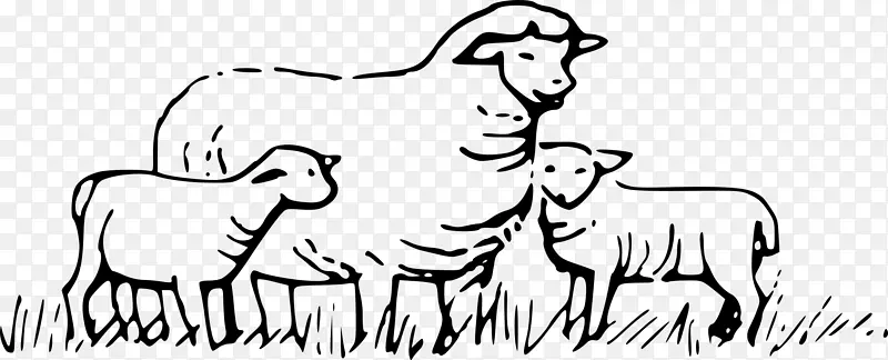 害群之马牛剪艺术-绵羊