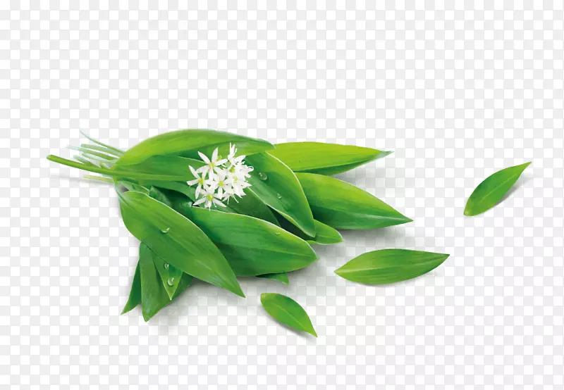 莱州市兆泰蔬菜有限公司叶草蔬菜有限公司