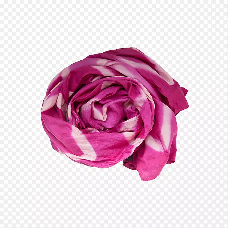花园玫瑰，粉红色，摄影，罗莎·马沙塔皇室-免费羽毛披肩