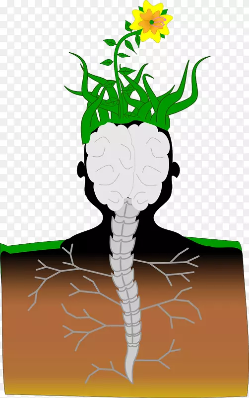 脑脊髓植物神经元脊柱-脑