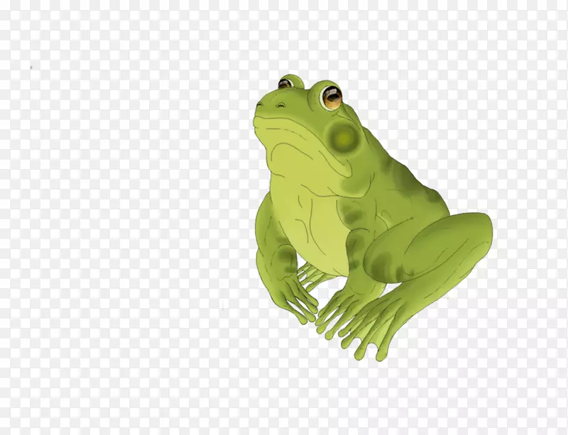 真青蛙食用青蛙数码插图-青蛙