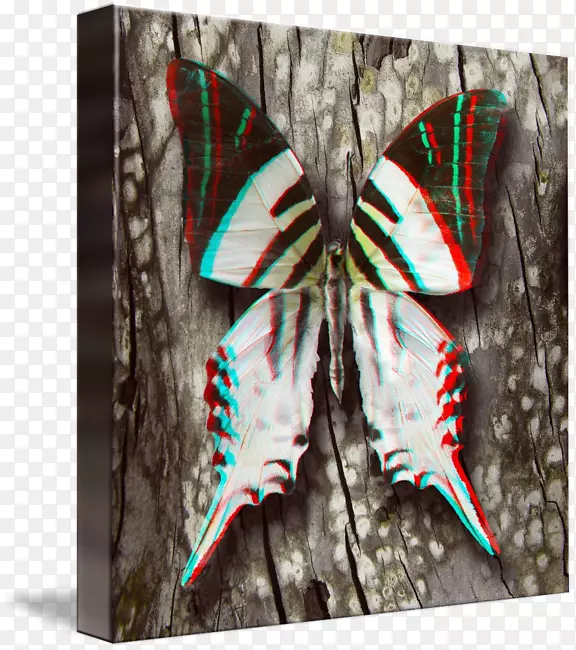 飞蛾对称-光滑的蝴蝶