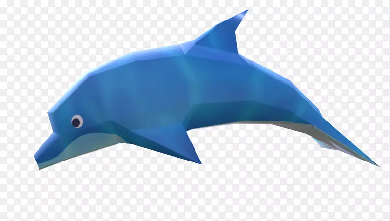 普通宽吻海豚图库溪鲨鱼