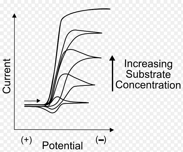 酶底物催化循环伏安电化学-其它