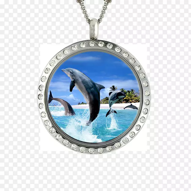 桌面壁纸，3D iphone 7海豚-天然海洋动物海豚