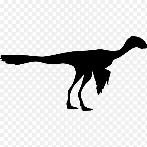 始祖鸟恐龙剪贴画-鸟