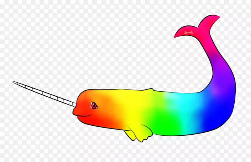 独角鲸画象牙海洋彩虹