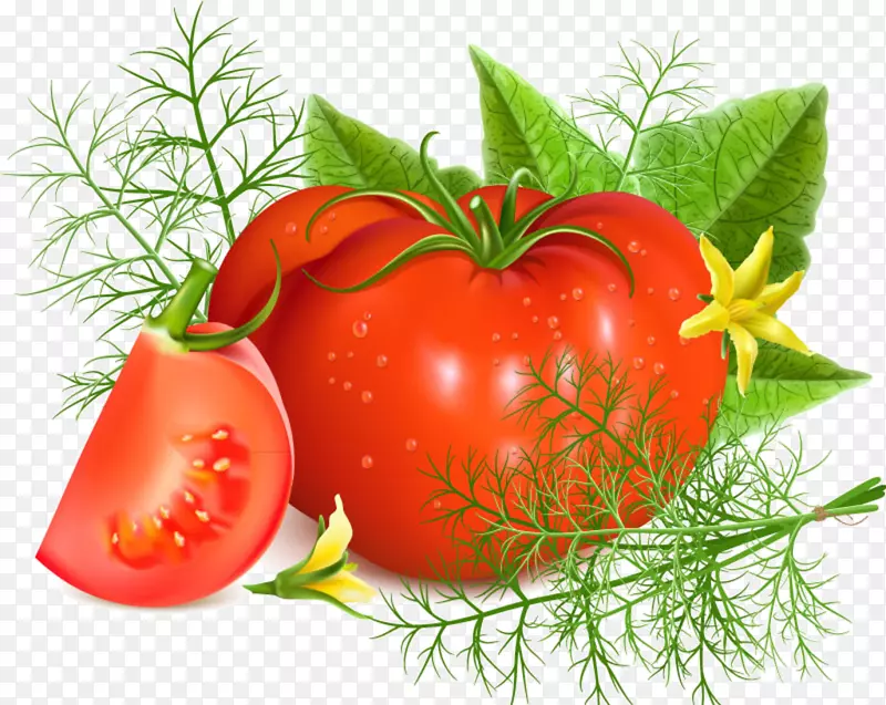 番茄汤番茄酱平面设计食品设计