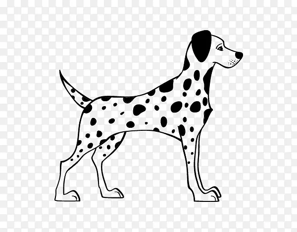 达尔马提亚犬英国小猎犬狗品种图