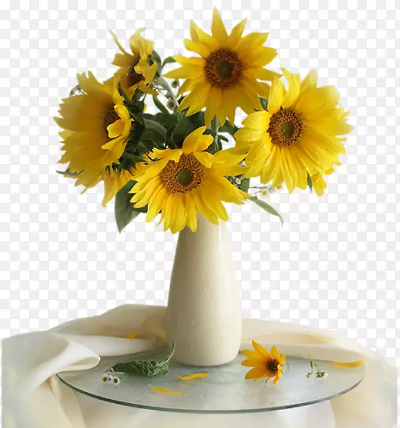 普通向日葵花瓶有十二朵向日葵静物摄影花瓶