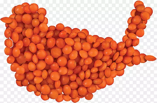 扁豆普通豆煮足球橙子