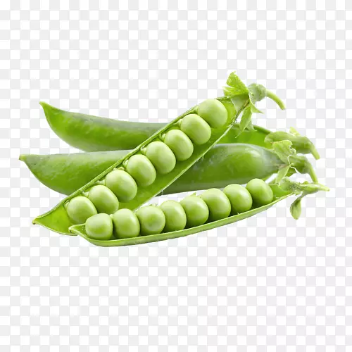 豆类食品硫胺素-蔬菜