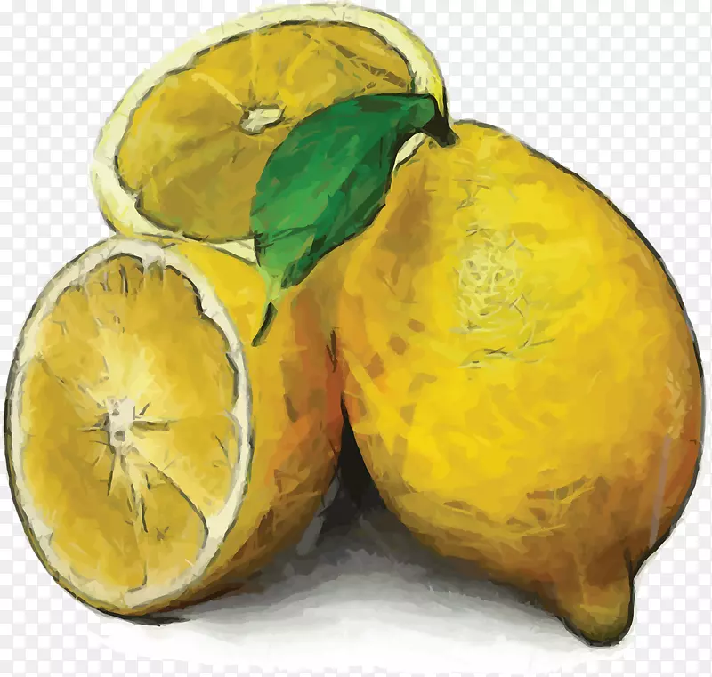 柠檬水彩画静物-柠檬