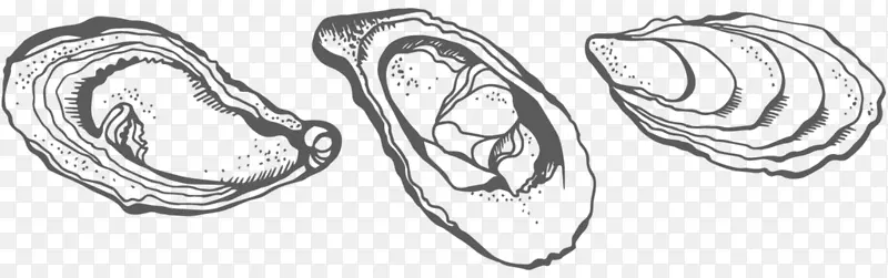 牡蛎画牡蛎线艺术素描