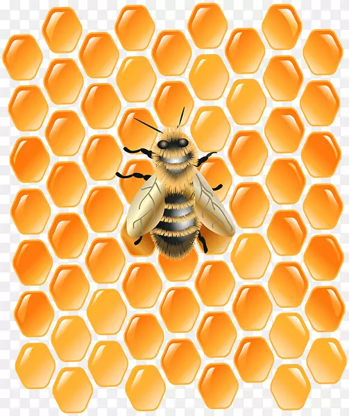 蜂巢西部蜜蜂桌面壁纸夹艺术