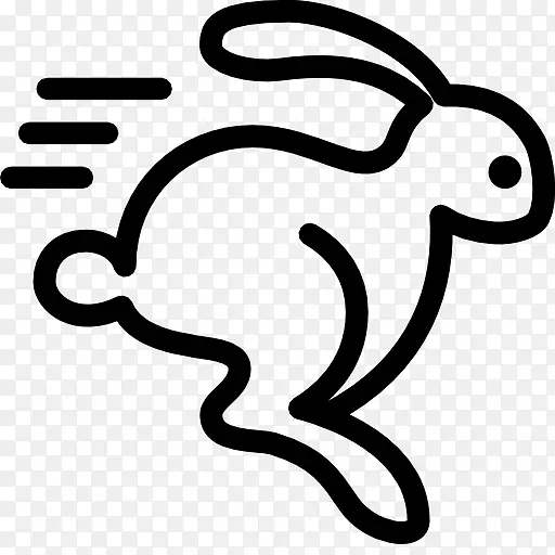 电脑图标国内兔子下载运行-兔子