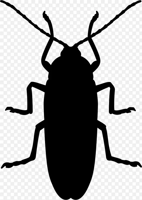 蟑螂蚊甲虫