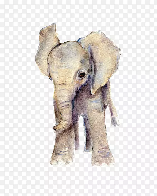非洲象水彩画版画-大象