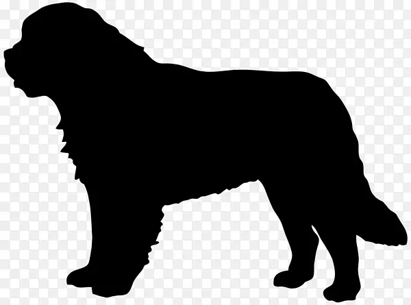 圣。伯纳德纽芬兰犬Dobermann大丹麦微型雪诺-剪影