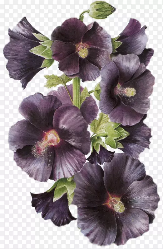 花瓣花
